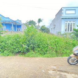 Bán lô đất thiện chí ninh gia đức trọng, giá rẻ chỉ 1,2 tỷ