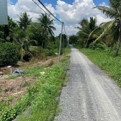 9800m2 đất vườn Tân Hòa,Bến Lức,Long An giá 8,5 tỷ