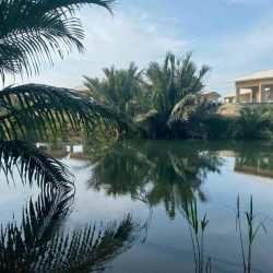 Chào bán đất Cẩm Thanh Hội An. Địa thế đẹp có view sông, nhìn resort Cồn Ba Xã
