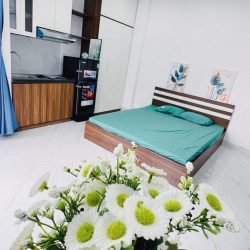 TOÀ CCMN HIỆN ĐẠI FULL NỘI THẤT - NGÕ TO HƠN PHỐ - Ô TÔ TRÁNH DỪNG ĐỖ - AN SINH