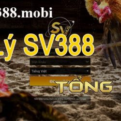 HƯỚNG DẪN CÁCH VÀO LINK NHÀ CÁI SV388 BỊ CHẶN