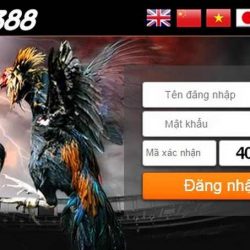 HƯỚNG DẪN  VÀO LINK NHÀ CÁI SV388 KHÔNG BỊ CHẶN