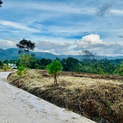 390triệu sở hữu đất thành phố Bảo Lộc