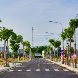 Bán gấp lô đất mt ql51 gần chợ long thành, cách sân bay 5 phút 1,350tỷ/119m2