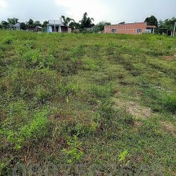 CHÍNH CHỦ CẦN BÁN ĐẤT 140m2 thổ cư, Đức Hòa , Long An