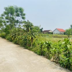 Đất AN ĐÔ