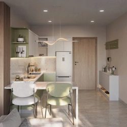 căn hộ cao cấp theo phong cách singapore