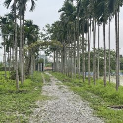 Cần bán trang trại chăn nuôi