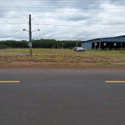 ĐỐNG TIỀN HỌC CHO CON NÊN BÁN 2900m2 , ĐẤT THỔ CƯ, SÁT CHỢ  MÀ GIÁ RẺ 330 TRIỆU