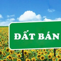 Lô đất chính chủ cần ra gấp nền KDC Kiều Đàm Q7