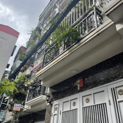 Nhà phố Trần Khát Chân. Nhà đẹp rất gần phố chỉ việc xách valy về ở