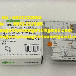 Module đầu vào 753-430 Wago - nhập khẩu giá tốt