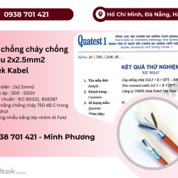 Cáp chống cháy chống nhiễu Altek Kabel 2x2.5mm2 Đà Nẵng, Huế, Thanh Hóa