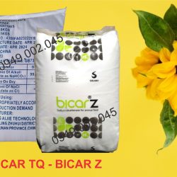 Sodium Bicarbonate (Bicar Thái, Bicar TQ) giúp nâng kiềm ao nuôi