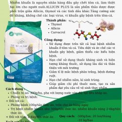 THYMOL PLUS: Kháng sinh tự nhiên cho tôm, cá