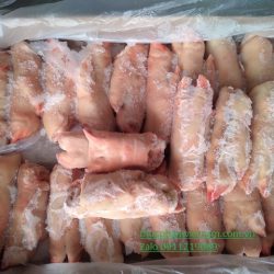 Bán buôn móng giò heo đông lạnh nhập khẩu tại Hà Nội
