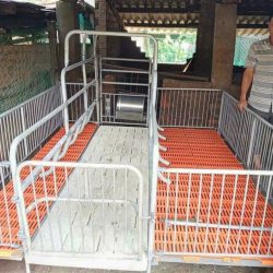 CHUỒNG HEO NÁI ĐẺ SIÊU RẺ!!!