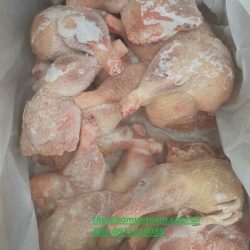Đùi gà chọi mái đông lạnh nhập khẩu Mỹ giá tốt