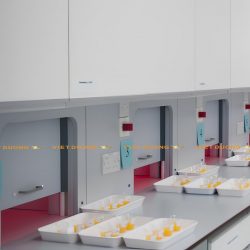 Bàn thí nghiệm cảm quan, Sensory Laboratory Table, Sensory Analysis Laboratory