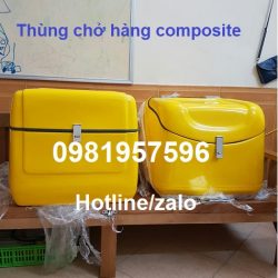 Thùng chở  sau xe máy, Thùng chở hàng composite giá rẻ tại Hà Nội