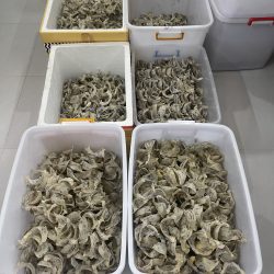 Yến Sào Việt Trung - Đối Tác Tin Cậy Cho Sức Khỏe của Bạn!