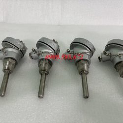 Dò nhiệt củ hành