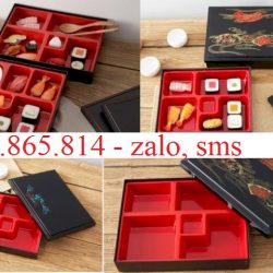 hộp cơm bento cho nhà hàng nhật KND