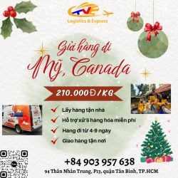 Gửi hàng đi USA, Canada- Tiến Việt Express