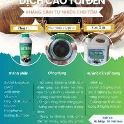 Dịch cao tỏi đen