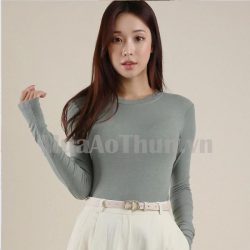 Áo Thun Nữ Trơn Cổ Tròn Tay Dài Thoải Mái – ATCT00061