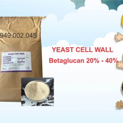 Yeast Cell Wall - Betaglucan giúp tăng cường miễn dịch tôm cá