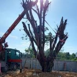 Bạc đồng Graphite chất lượng cao, chi phí hợp lý