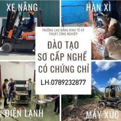 ĐÀO TẠO XE NÂNG-MÁY XÚC-MÁY CẨU CẤP CHỨNG CHỈ TẠI HẢI PHÒNG