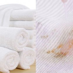 Hóa chất chuyên xử lý vết kem chống nắng trên đồ vải