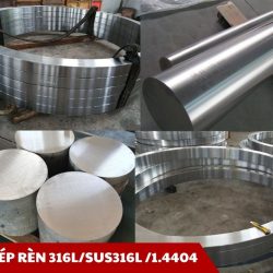 Thép rèn 316L/SUS316L/1.4404 - Unico Steel