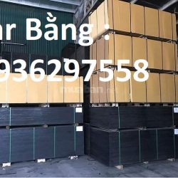 Ván ép phủ phim giá rẻ