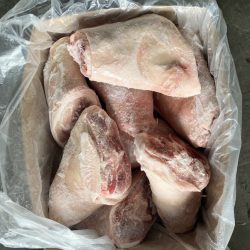 Cung cấp khoanh giò heo| cung cấp thịt lợn đông lạnh số lượng lớn