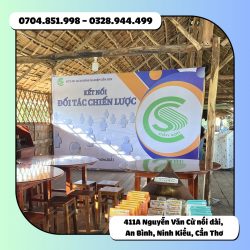 in ấn tân niên khai trương backdrop tại cần thơ