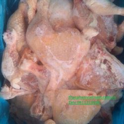 Đùi gà góc tư đông lạnh chất lượng và đảm bảo nguồn gốc