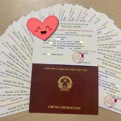 THI CHỨNG CHỉ HƯỚNG DẪN VIÊN/ ĐIỀU HÀNH