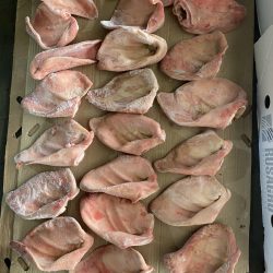20+ món ngon từ tai heo siêu hấp dẫn cho mọi bữa tiệc