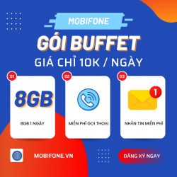 Tết đến nơi rồi - Chọn Buffet Data vi vu chơi Tết, không lo hết mạng