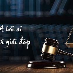 Tư vấn, Tranh tụng ( bào chữa ) tại Tòa án , dịch vụ pháp lý khác