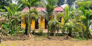 Chính chủ cần bán khu đất đẹp tiềm năng đầu tư cao Phương Hạnh , Xã Tân Tiến,