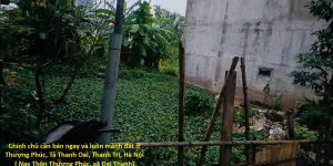 Chính chủ cần bán ngay và luôn mảnh đất ở Thượng Phúc, Tả Thanh Oai, Thanh Trì,