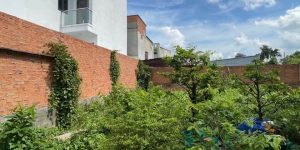 [L2635*] Đất Sát Chợ Thạnh Xuân, Đã Tách 12 Lô Sẵn – Giá 24.x Tỷ