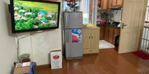 CĂN HỘ ĐẦY ĐỦ TIỆN ÍCH - GIÁ TỐT BÁN NHANH ĂN CHUNG CƯ VỊ TRÍ ĐẸP tại đường