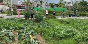 Rẻ nhất khu tái định cư Thư Lâm, Đông Anh - Vị trí đẹp - Gia đình cần vốn nên