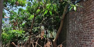 Bán đất Đại Áng 30m², ô tô vào đất, giá 3,5 tỷ
