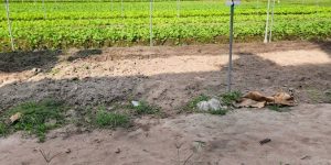 [T2680*] CƠ HỘI ĐẦU TƯ TRANG TRẠI THU NHẬP 200TR/THÁNG SÁT BV AN NHƠN TÂY - GIÁ